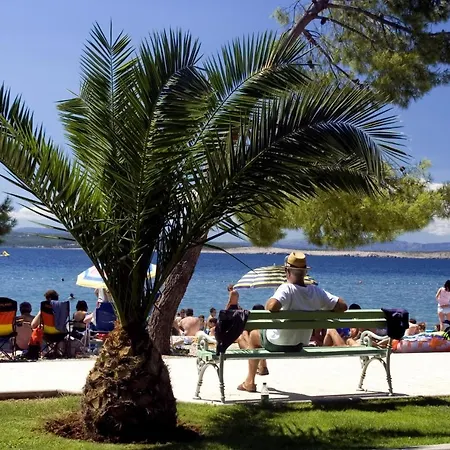 شقة Striga With 2 And Balcony